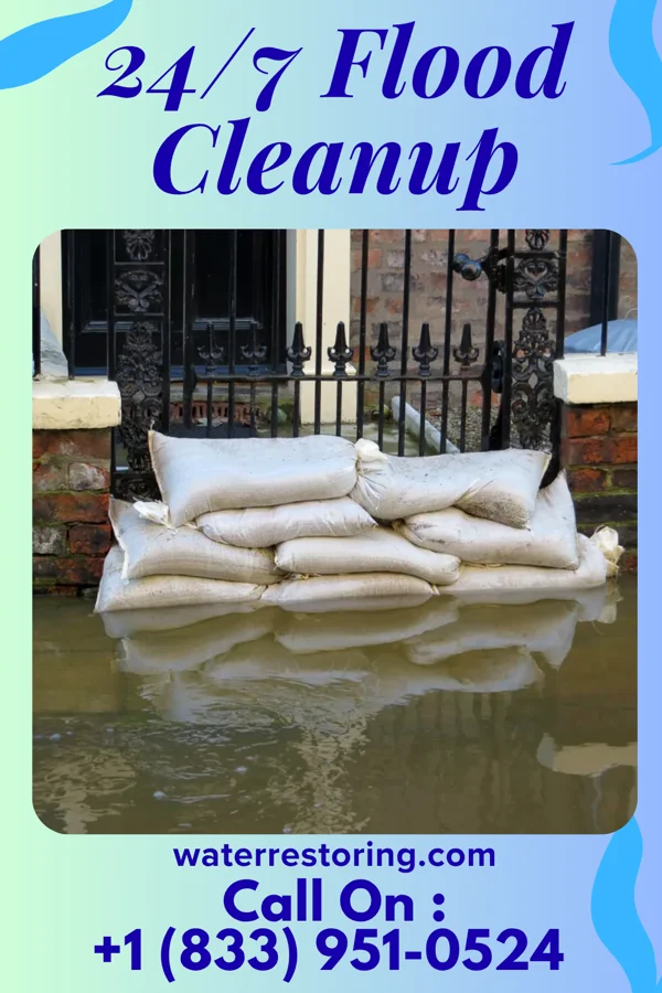24/7 Flood Cleanup in Whigham, GA