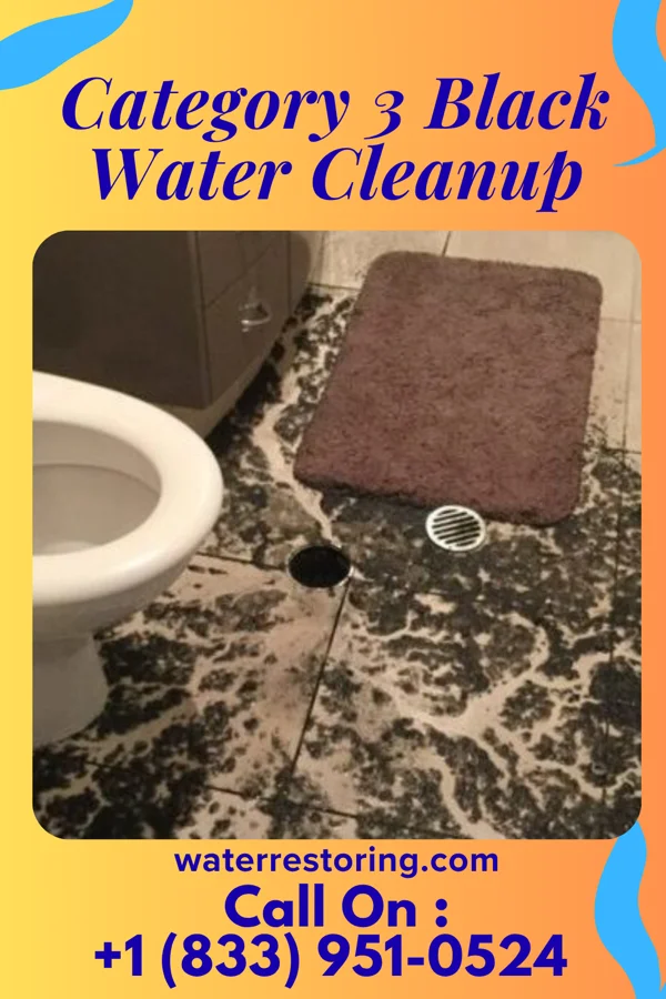 Category 3 Black Water Cleanup in Whigham, GA