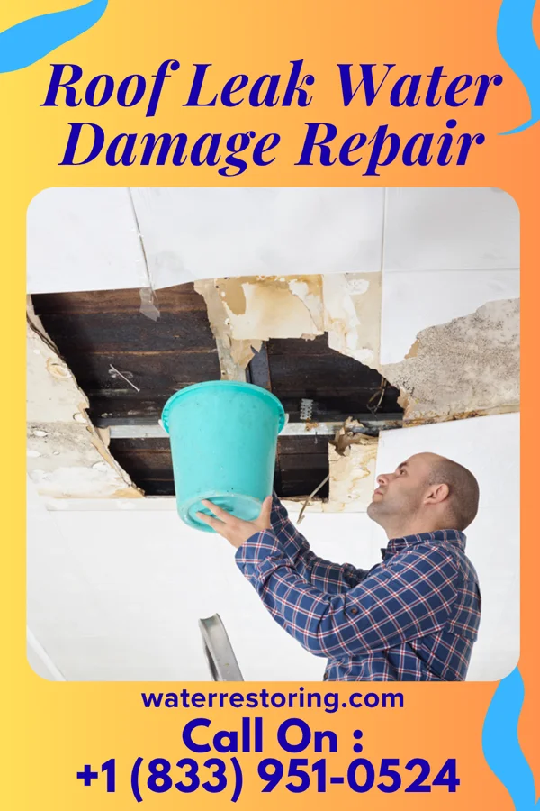 Roof Leak Water Damage Repair in Whigham, GA