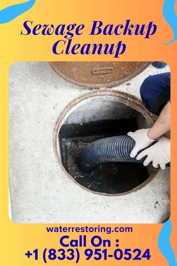 Sewage Backup Cleanup in Whigham, GA